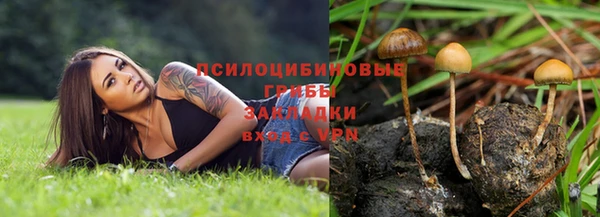 марки nbome Арсеньев