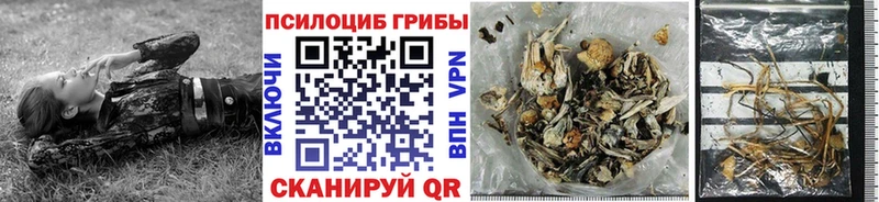 кракен ONION  Собинка  Псилоцибиновые грибы Cubensis 